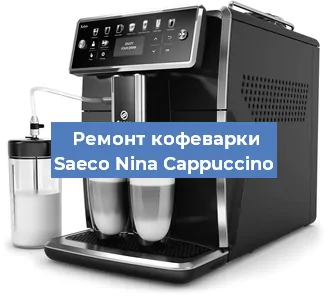 Чистка кофемашины Saeco Nina Cappuccino от кофейных масел в Перми